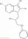 Fig. 63 - Pro-neurogenic compounds