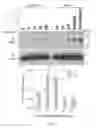 Fig. 02 - Method of regulating NFATc2 activity in lymphocytes