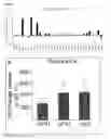 Fig. 05 - PHD2 inhibition for blood vessel normalization, and uses thereof