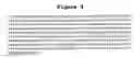 Fig. 11 - Cellular genes regulated by HIV-1 infection and methods of use thereof