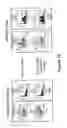Fig. 24 - Cellular genes regulated by HIV-1 infection and methods of use thereof