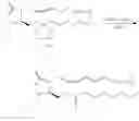 Fig. 19 - Anti-constipation composition