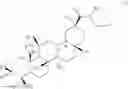 Fig. 02 - N-hydroxy C29-amide derivatives of oleandrane