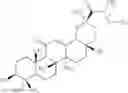 Fig. 10 - N-hydroxy C29-amide derivatives of oleandrane
