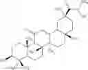 Fig. 12 - N-hydroxy C29-amide derivatives of oleandrane