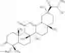 Fig. 13 - N-hydroxy C29-amide derivatives of oleandrane