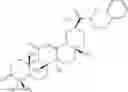 Fig. 17 - N-hydroxy C29-amide derivatives of oleandrane
