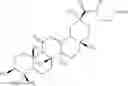 Fig. 19 - N-hydroxy C29-amide derivatives of oleandrane