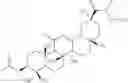 Fig. 20 - N-hydroxy C29-amide derivatives of oleandrane
