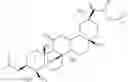 Fig. 22 - N-hydroxy C29-amide derivatives of oleandrane