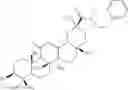 Fig. 25 - N-hydroxy C29-amide derivatives of oleandrane