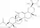 Fig. 29 - N-hydroxy C29-amide derivatives of oleandrane