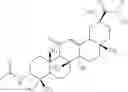 Fig. 31 - N-hydroxy C29-amide derivatives of oleandrane