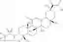 Fig. 37 - N-hydroxy C29-amide derivatives of oleandrane