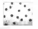 Fig. 01 - CLEAR INK COMPOSITION