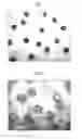 Fig. 02 - CLEAR INK COMPOSITION