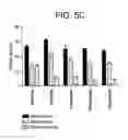 Fig. 07 - CELLS FOR INCREASED PROTEIN EXPRESSION COMPRISING ONE OR MORE RELEASE FACTORS AND METHODS OF USE