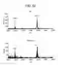 Fig. 20 - CELLS FOR INCREASED PROTEIN EXPRESSION COMPRISING ONE OR MORE RELEASE FACTORS AND METHODS OF USE