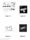 Fig. 07 - Biomolecular self-assembly