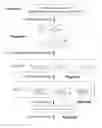 Fig. 14 - Biomolecular self-assembly