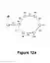 Fig. 22 - Biomolecular self-assembly