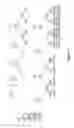 Fig. 31 - Biomolecular self-assembly