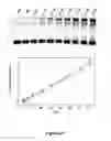 Fig. 34 - Biomolecular self-assembly