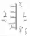 Fig. 43 - Biomolecular self-assembly