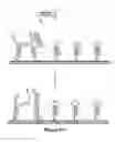 Fig. 45 - Biomolecular self-assembly