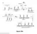 Fig. 47 - Biomolecular self-assembly