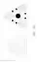 Fig. 60 - Biomolecular self-assembly