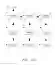 Fig. 62 - Biomolecular self-assembly