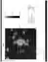Fig. 69 - Biomolecular self-assembly