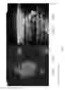 Fig. 77 - Biomolecular self-assembly