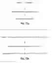 Fig. 98 - Biomolecular self-assembly