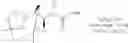 Fig. 239 - FOLATE TARGETING OF NUCLEOTIDES