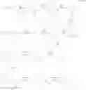 Fig. 49 - Substituted 3-hydroxy-4-pyridone derivative