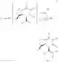 Fig. 53 - Methods for making valerenic acid derivatives and their use