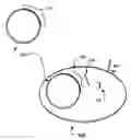 Fig. 01 - MHC-less cells