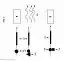 Fig. 04 - MHC-less cells