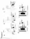 Fig. 07 - APPARATUS, SYSTEMS, METHODS AND COMPUTER-ACCESSIBLE MEDIUM FOR ANALYZING INFORMATION REGARDING CARDIOVASCULAR DISEASES AND FUNCTIONS