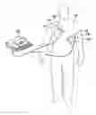 Fig. 01 - PULSE DETECTION APPARATUS, SOFTWARE, AND METHODS USING PATIENT PHYSIOLOGICAL SIGNALS