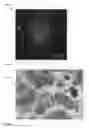 Fig. 55 - Chemically-selective, label free, microendoscopic system based on coherent anti-stokes raman scattering and microelectromechanical fiber optic probe