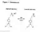 Fig. 02 - Compositions and methods for detecting and treating tumors containing acidic areas