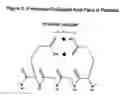Fig. 04 - Compositions and methods for detecting and treating tumors containing acidic areas