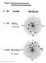 Fig. 09 - Compositions and methods for detecting and treating tumors containing acidic areas