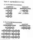 Fig. 22 - Compositions and methods for detecting and treating tumors containing acidic areas