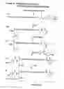 Fig. 28 - Compositions and methods for detecting and treating tumors containing acidic areas
