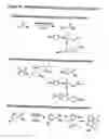 Fig. 32 - Compositions and methods for detecting and treating tumors containing acidic areas