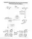 Fig. 35 - Compositions and methods for detecting and treating tumors containing acidic areas
